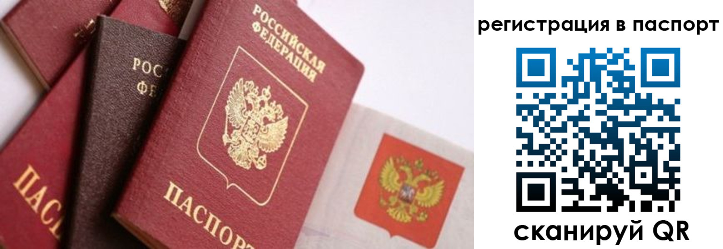 прописка в квартире в Кореновске